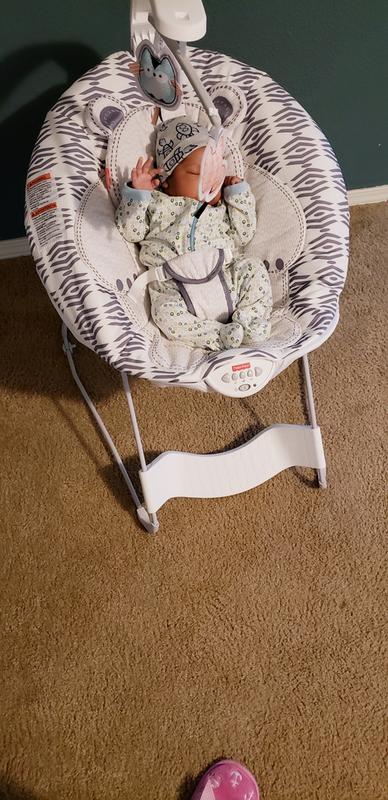 fisher price deluxe baby bouncer