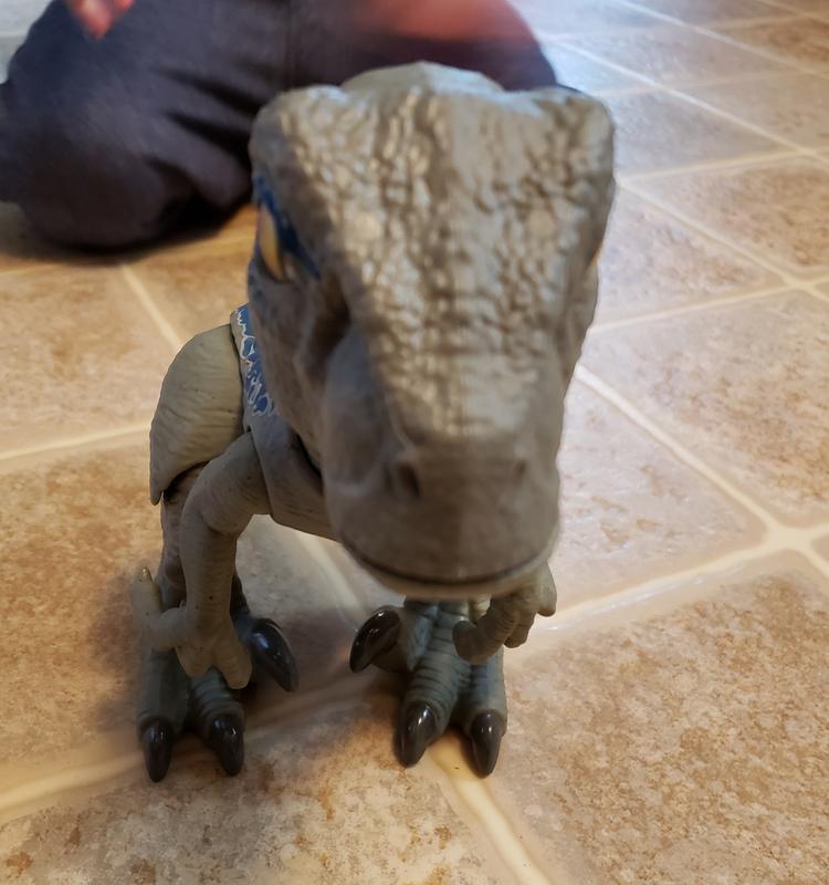 primal pal blue target