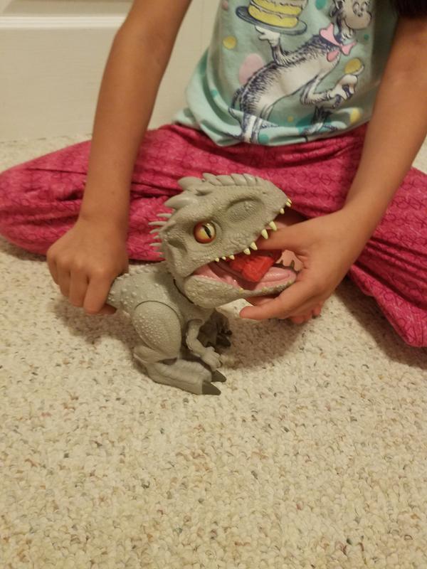 Feeding the dinosaur.