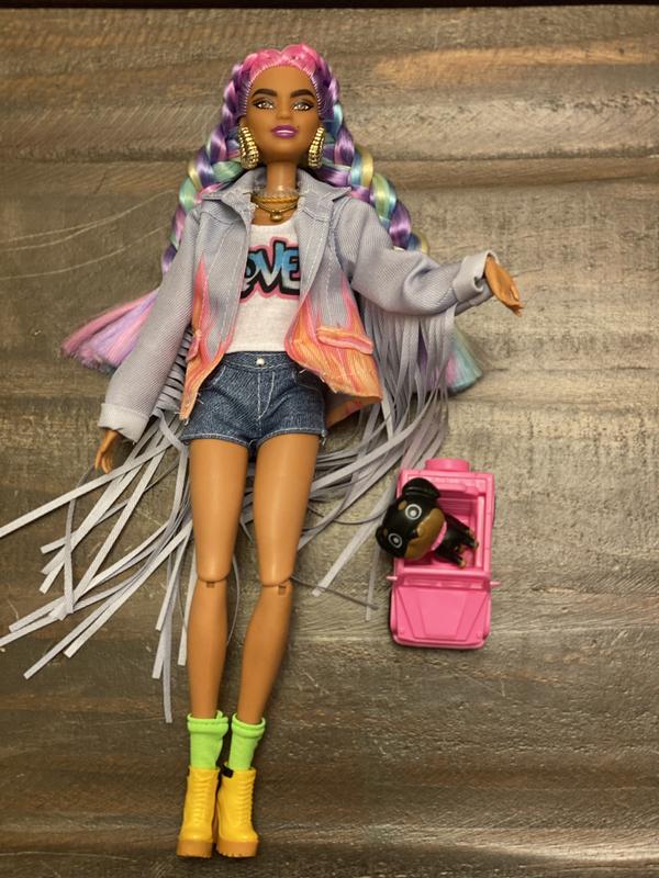  Barbie Extra Doll & Accessories with Rainbow Braids in  Long-Fringe Denim Jacket with Pet Puppy and Car for Pet : Toys & Games