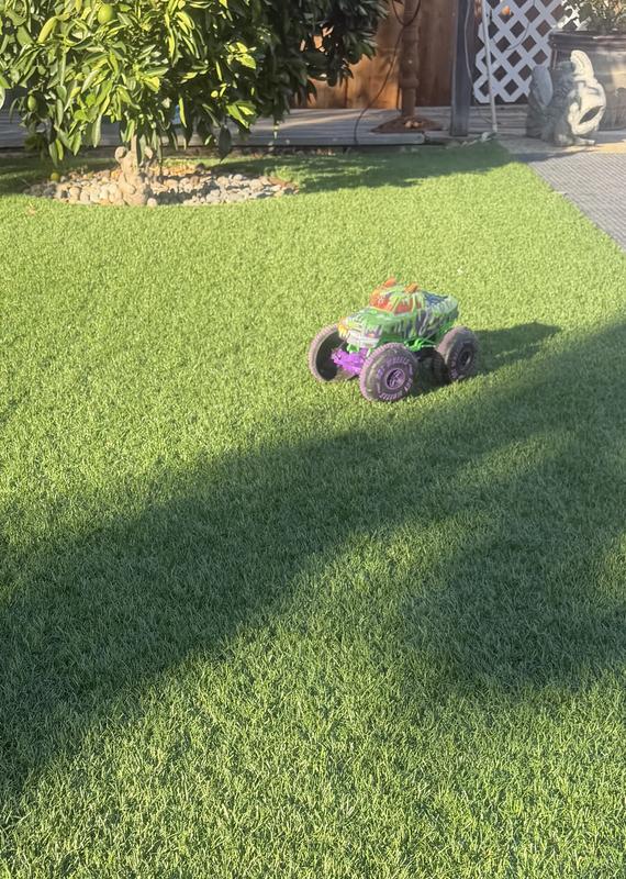 Customer photo for "Super cool RC monster truck."