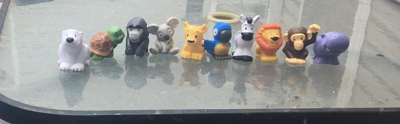 Playing with the animals outside!
