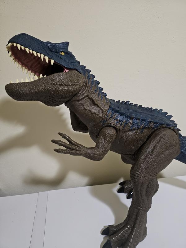 Perfect colors and markings!