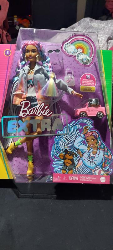  Barbie Extra Doll & Accessories with Rainbow Braids in  Long-Fringe Denim Jacket with Pet Puppy and Car for Pet : Toys & Games