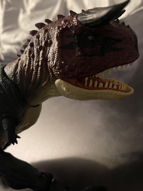 Photo from Alejandra