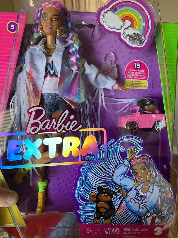  Barbie Extra Doll & Accessories with Rainbow Braids in  Long-Fringe Denim Jacket with Pet Puppy and Car for Pet : Toys & Games