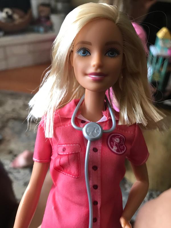 barbie careers animal rescue doll and playset