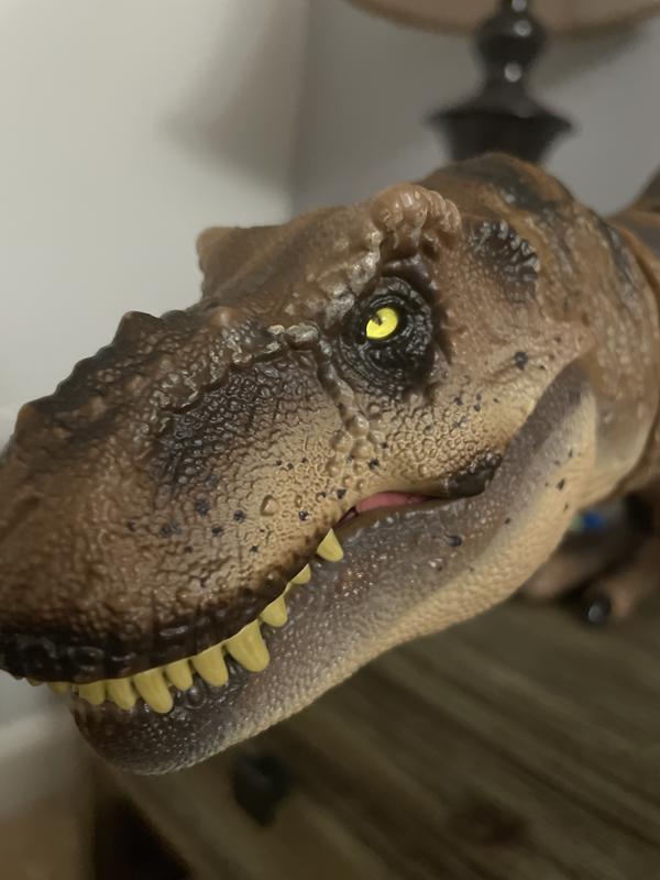  Mattel Jurassic World Mattel Jurassic Park Hammond Collection T  Rex, Tyrannosaurus Rex Collector 24-in Dinosaur Figure, Deluxe Articulation  : Toys & Games