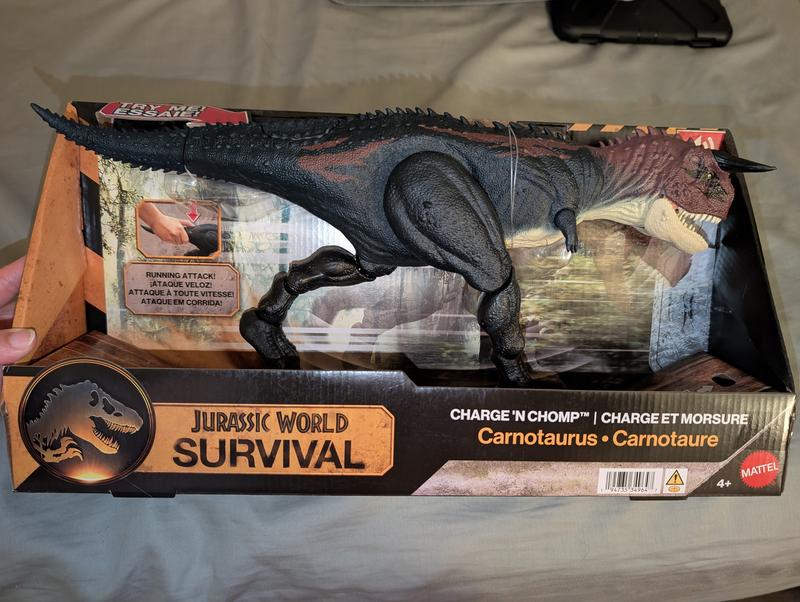 Customer carousel item 5.