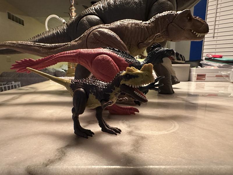 Comparison to other Dino’s in the line