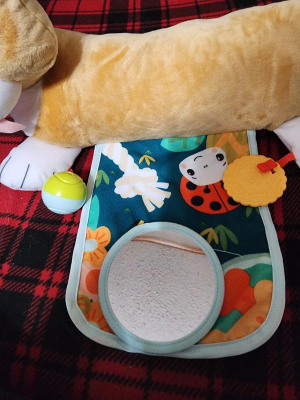 Photo - commentaire&nbsp;6.