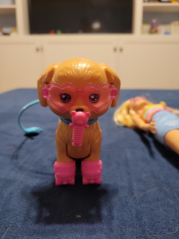 Customer photo for "Fun Rollerskating Barbie and Dog Toy"