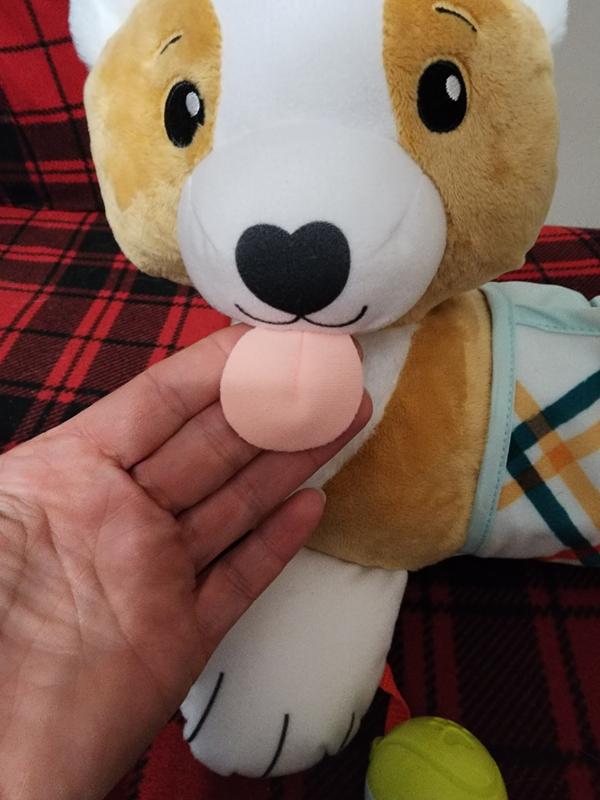 Photo - commentaire&nbsp;5.