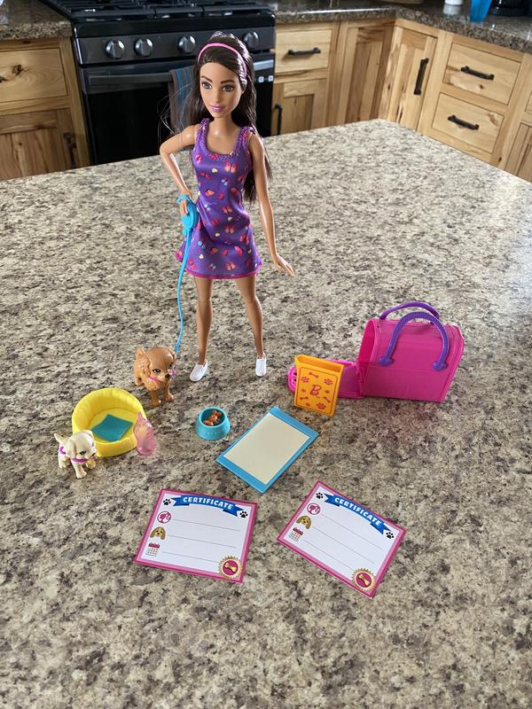 Barbie Coffret Adopte Un Chiot, avec poupée brune, 2 chiots, animal qui  change de couleur et plus de 10 accessoires, Jouet Enfant, Dès 3 ans, HKD86  : : Jeux et Jouets