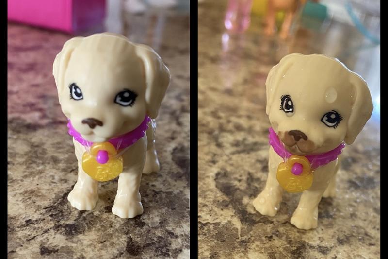 ② Barbie avec chien et chiots — Jouets