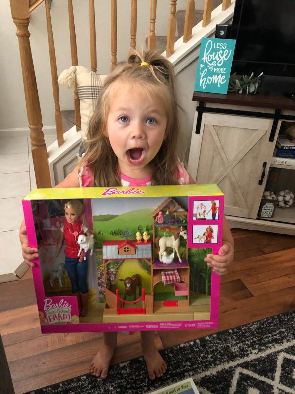 barbie barn set