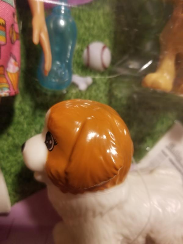 Newspaper potty puppy