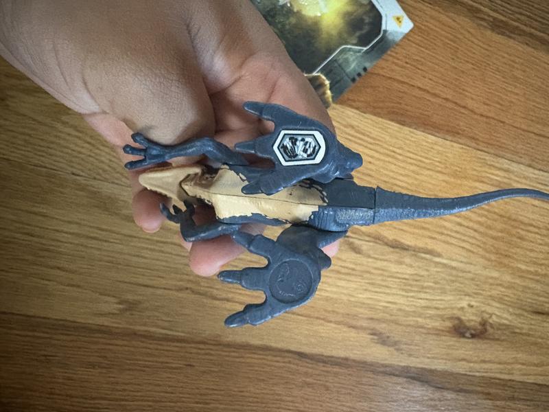 Jurassic World Survival Frenzy Pack Assortment - JGB72 | Blain's