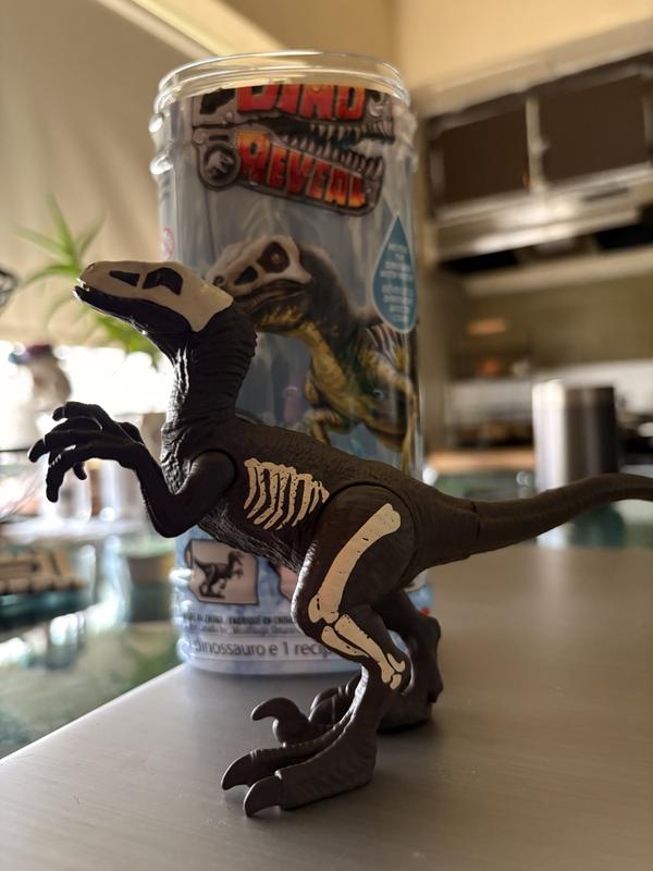 Photo - commentaire 2.