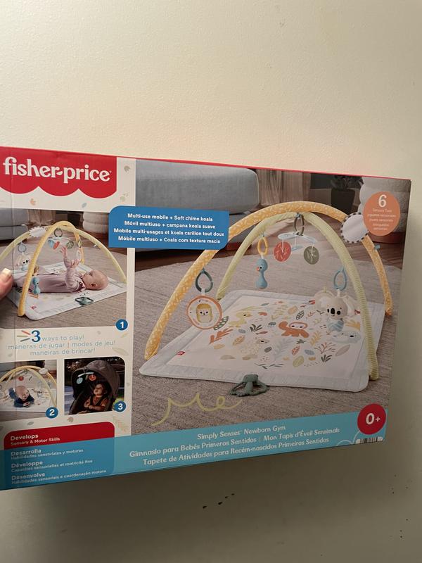 Gimnasio para best sale bebes fisher price