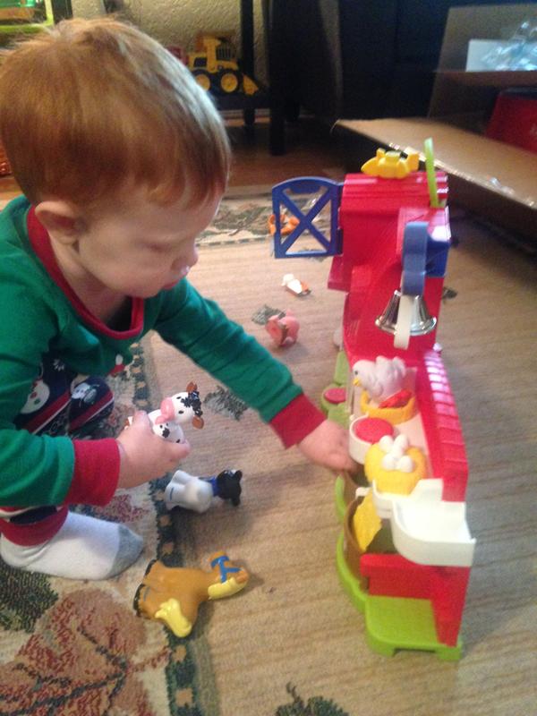 Taking Care of the Animals