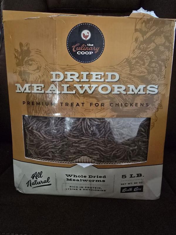 Ma Poule Express Dried Mealworms - 5 Lbs (80,000 Worms) | Wild Bird, Chicken, Reptile Food | High Protein Treat