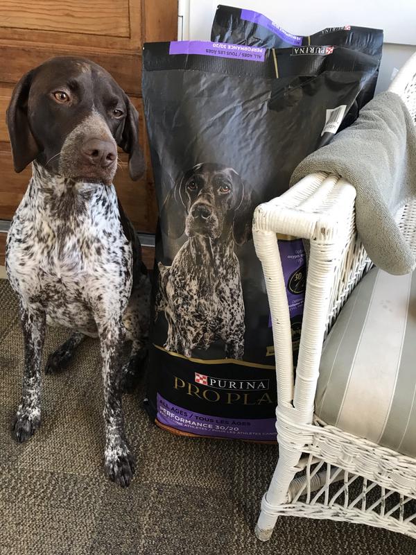 fleet farm pro plan dog food