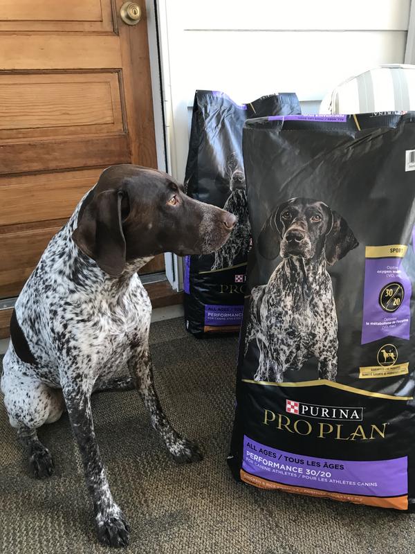 fleet farm pro plan dog food