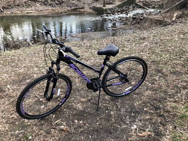 schwinn women's gtx 1 hybrid bike