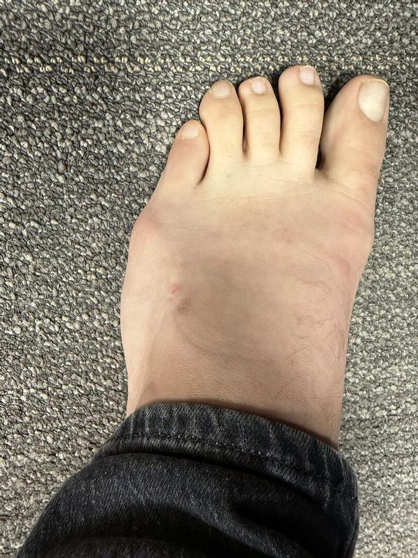 Review Thumbnail Image 2 355273458