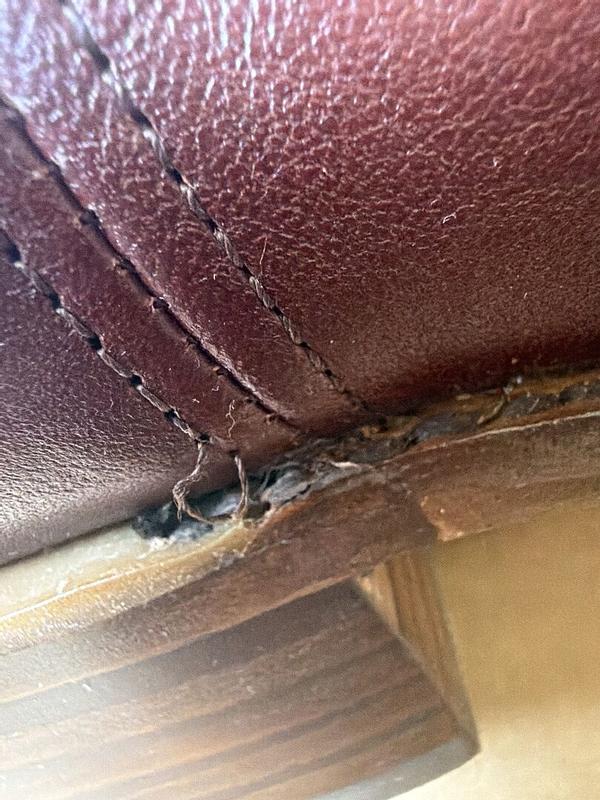 Customer photo for "Terrible."