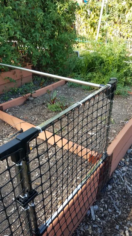 Left gate, used as a right gate.