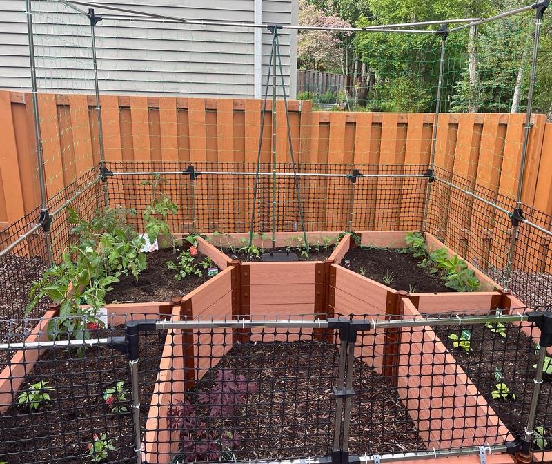 Garden with veggie wall