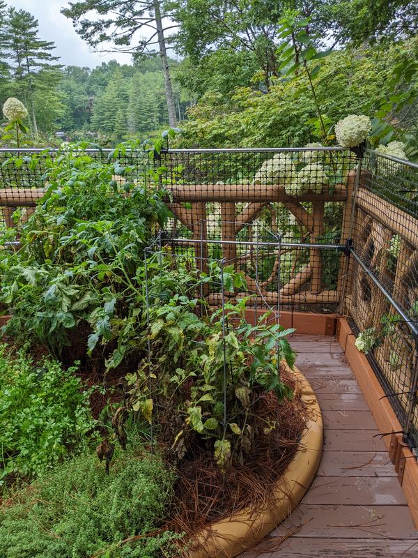 Like the look and ability to customize