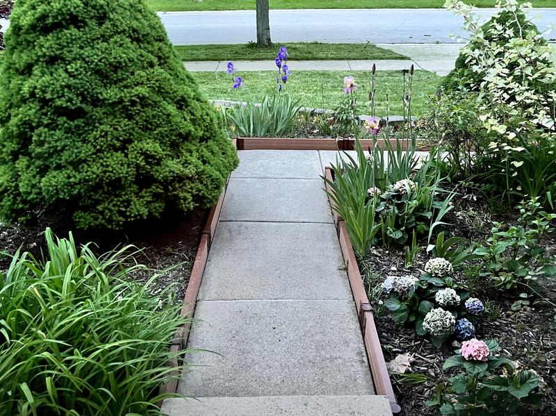 Walk-In 'Jumbo' 12' x 12' Animal Barrier Raised Garden Bed