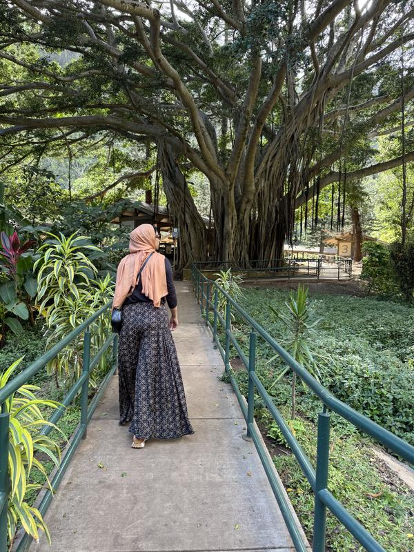 So Charming Wide-Leg Pants
