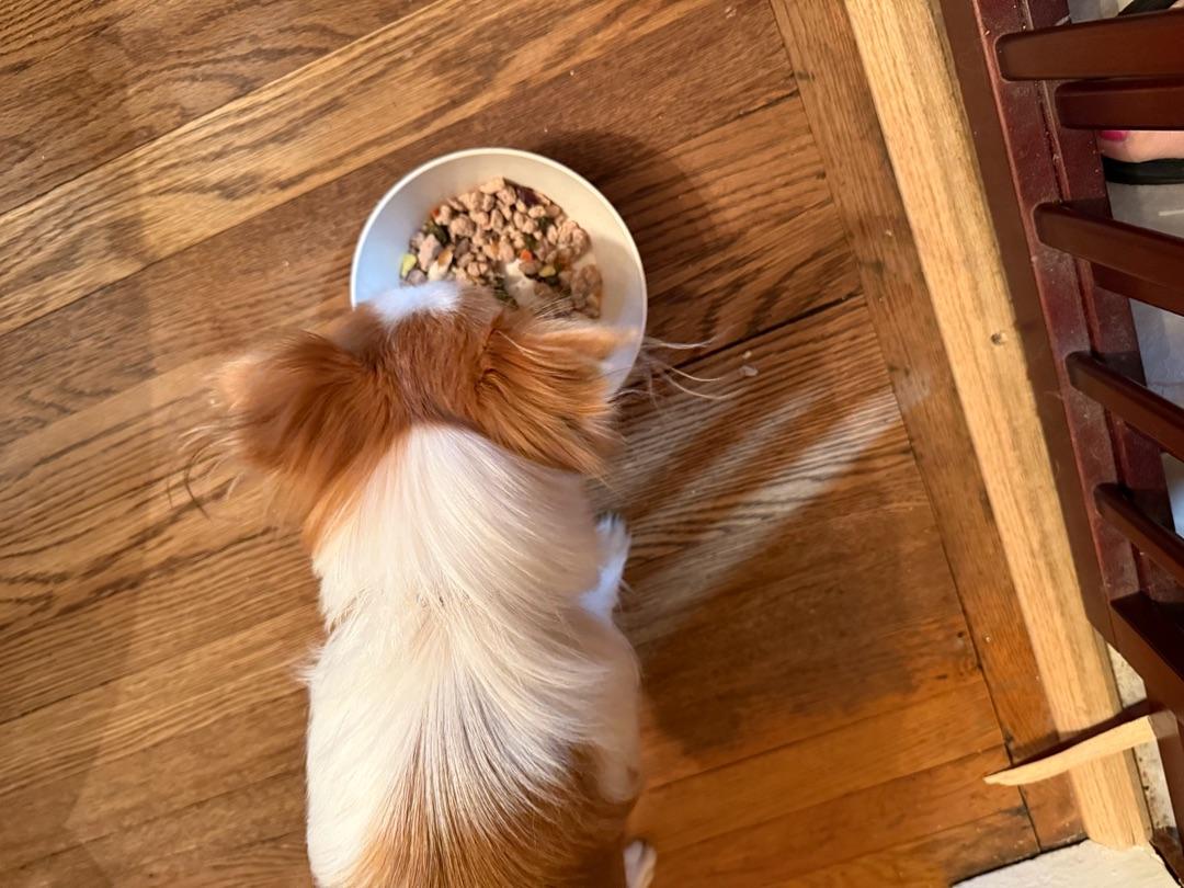 Freshpet Homestyle Grain-Free Creations Chicken and Turkey Meal