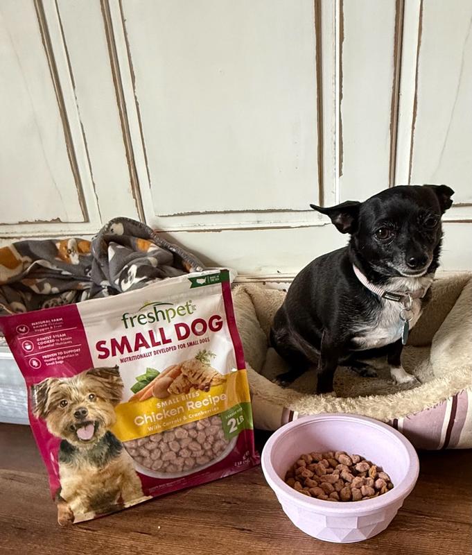 a taste of wild dog food or science diet Taste Of The Wild Small Breed Dry Dog Food, Appalachian Valley / 5 lb