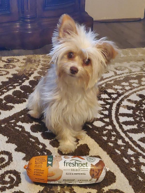 Freshpet Chunky Chicken Turkey Dog Food