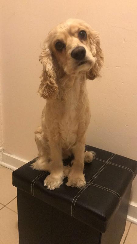 Kali