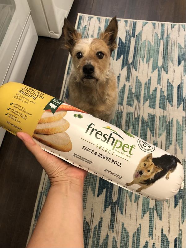 Freshpet Tender Chicken with Vegetables Dog Food