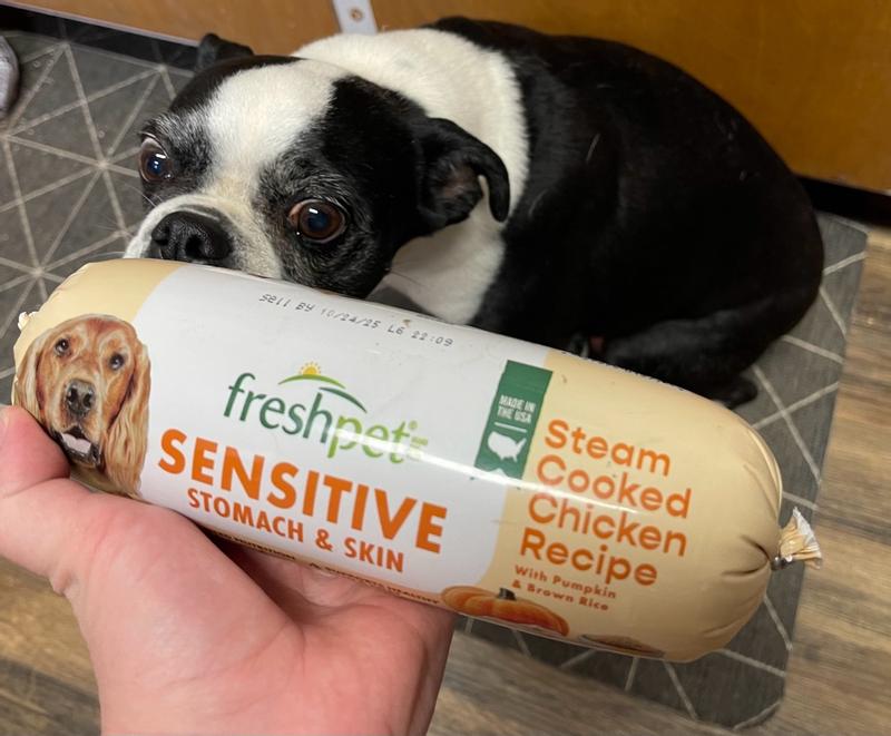 Can You Freeze Freshpet Dog Food: Essential Tips Revealed