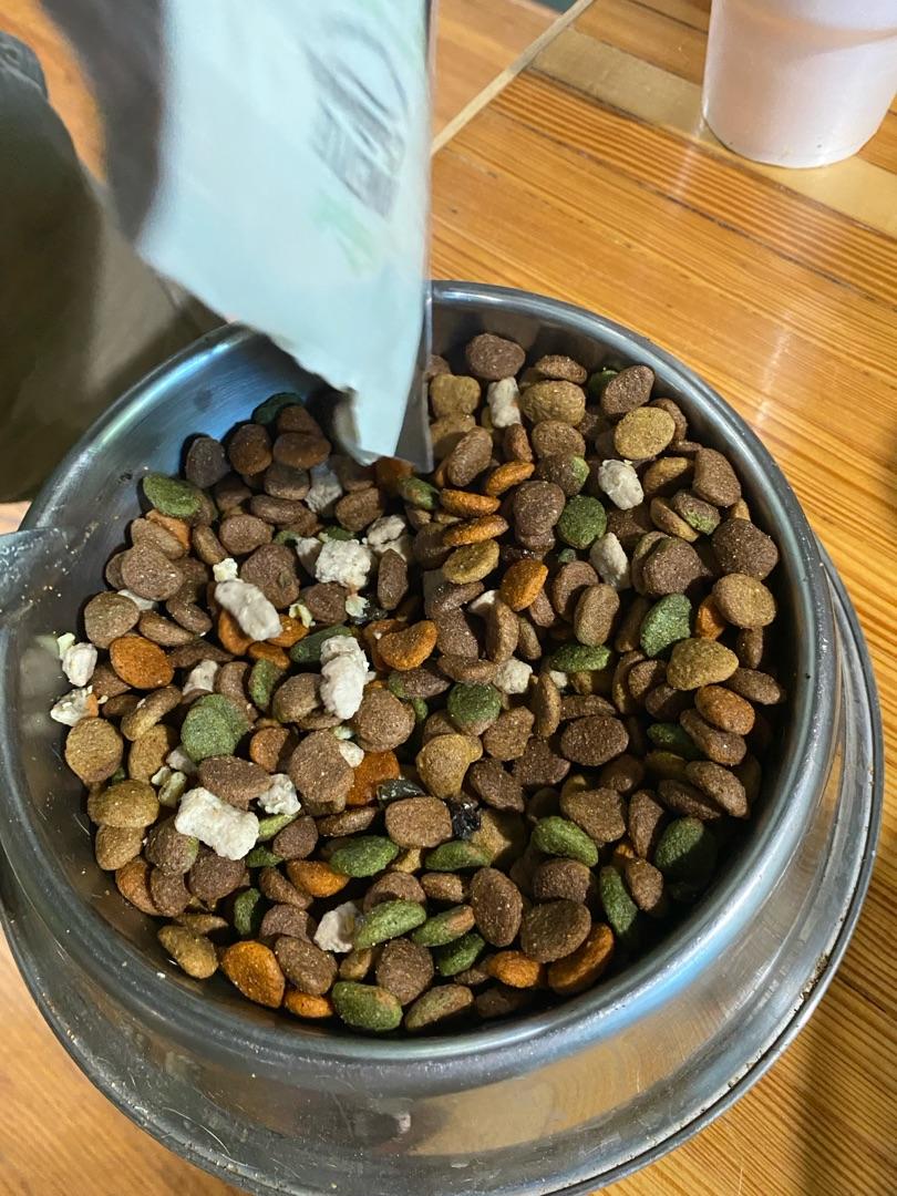 Freshpet Homestyle Grain-Free Creations Chicken and Turkey Meal
