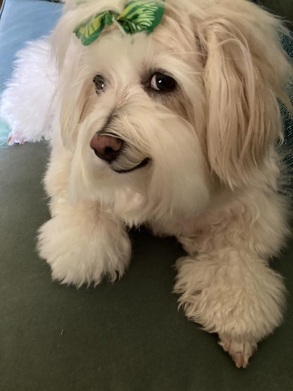 Smiling cause I just had a treat!