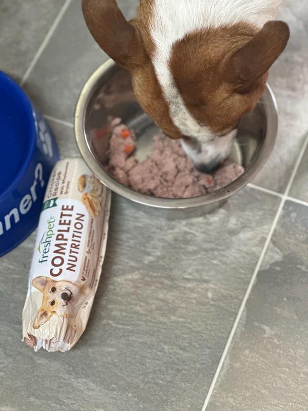 Can I Make Complete Nutrition Dog Food: Ultimate DIY Guide