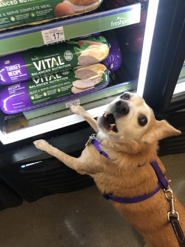 Freshpet vital balanced outlet nutrition