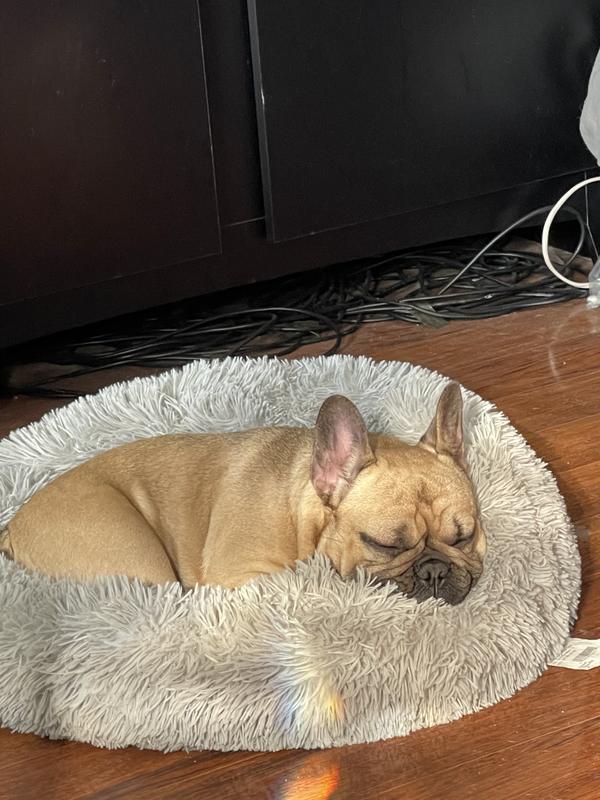 Mazzie chillinand not itching