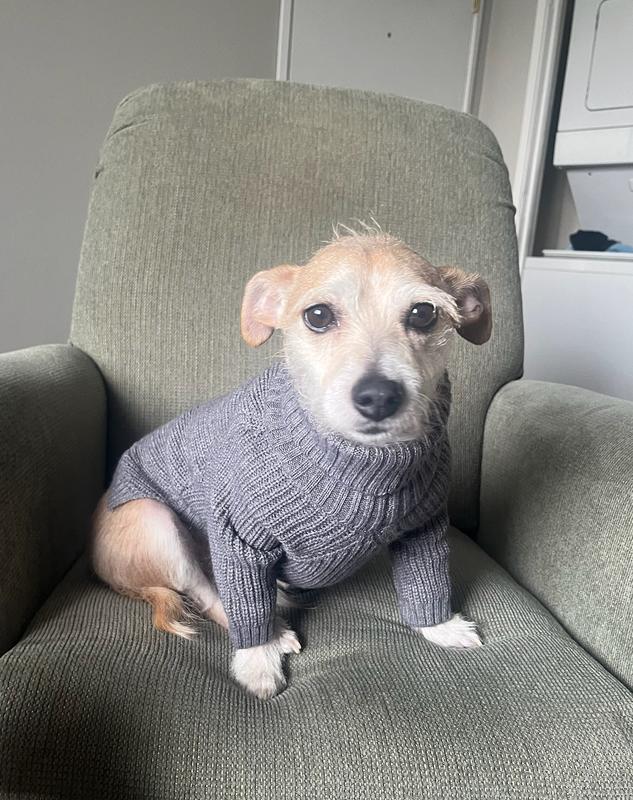 From refusing to eat to begging for breakfast