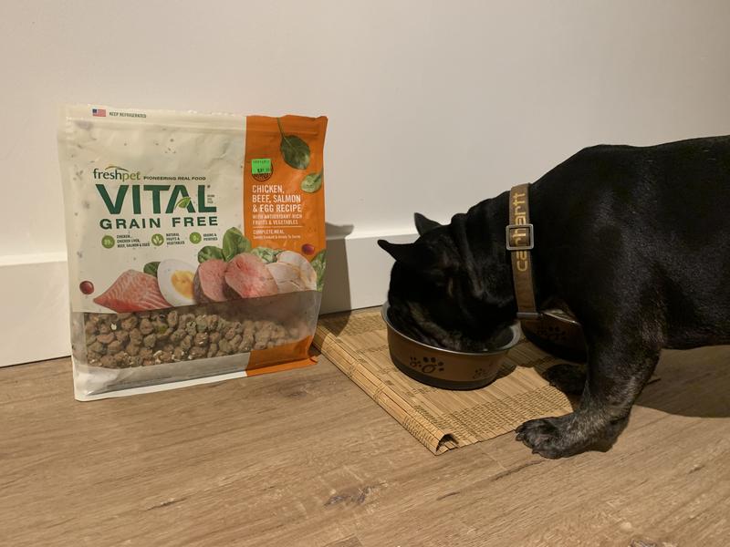 Freshpet vital grain free reviews best sale