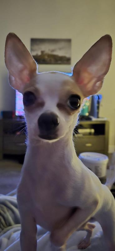 Thanks for the awesome food